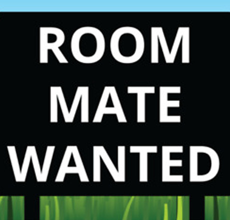 Looking For A Male Roommate Denver CO