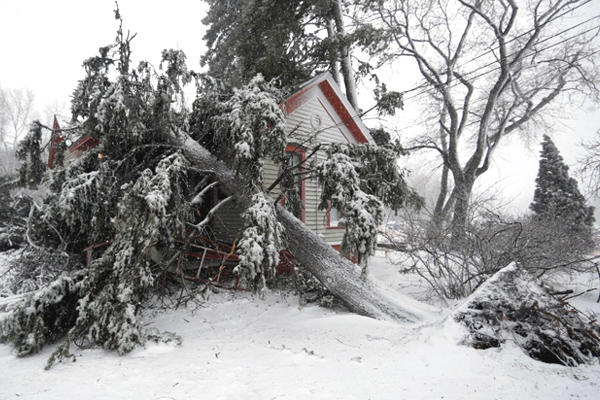 Bomb Cyclone Photos