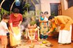 Tulsi Puja, Plant Tulsi, tulsi puja, Tulsi puja