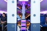 Air New Zealand Bunk Beds latest, Air New Zealand Bunk Beds 2026, air new zealand introduces bunk beds in economy flights, Economy