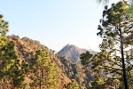 Kasauli, Kasauli, amazing things to do and see in kasauli, Amazing