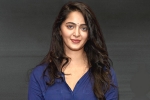 Anushka updates, NTR, rrr to have a cameo of anushka, Anushka shetty
