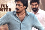 Bheemla Nayak breaking news, Bheemla Nayak theatrical business, super strong shivaratri day for bheemla nayak, Saagar chandra