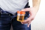 Hidden Kidney Cancer Risks latest breaking, Hidden Kidney Cancer Risks latest, spotting blood in urine can reveal hidden kidney cancer risks, Weight loss