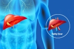 Fatty Liver Disease News new breaking, Fatty Liver Disease News body organs, body organs that can be affected by fatty liver disease, Excessive drinking