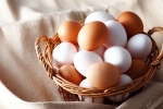Brown Eggs Vs White Eggs latest, Brown Eggs Vs White Eggs which is bad, brown eggs vs white eggs which is healthy, Brown eggs