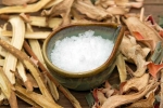 Camphor for Brain Health news, Camphor for Brain Health latest updates, is camphor good for brain health, Stress Camphor for Brain Health news, Camphor for Brain Health latest updates, is camphor good for brain health, Stress