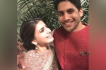Naga Chaitanya news, Chaitu and Samantha, most adorable pic chaitu and samantha s, Akkineni family Naga Chaitanya news, Chaitu and Samantha, most adorable pic chaitu and samantha s, Akkineni family