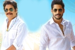 Zee Studios, Bangarraju ten days, ten days worldwide collections of bangarraju, Kalyan krishna