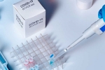 sars-cov-2, researchers, studies find the incidence of covid 19 reinfection is low, Monkeys