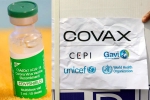 COVAX updates, Covishield COVAX, sii to resume covishield supply to covax, Covax