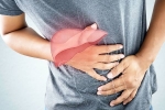 Liver Disease doctors, Liver Disease advise, here are early signs of liver disease you should not ignore, Obesity