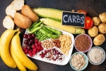 Too Many Carbs, Too Many Carbs news, what happens if you eat too many carbs, Clothes