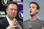 Mark Zuckerberg, Elon Musk Vs Mark Zuckerberg breaking, elon musk vs mark zuckerberg rivalry, Mark zuckerberg