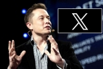 X subscription updates, X subscription updates, elon musk announces that x would be paid for everyone, Elon musk