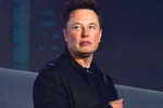 Elon Musk new update, Elon Musk latest, elon musk talks about cage fight again, Mark zuckerberg