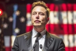 US elections, Elon Musk DOnald Trump - Matrix, is elon musk in the trump cabinet, Elon musk vs donald trump