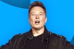 Elon Musk, Elon Musk news, elon musk s new ultimatum to twitter staffers, Tesla