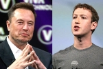 Elon Musk, Elon Musk, elon vs zuckerberg mma fight ahead, Mark zuckerberg