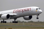 Shikha Garg, airline crash indians, ethiopian airlines crash four indians among 157 killed in flight crash, Eam sushma swaraj