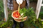 Fruits and Veggies news, Fruits and Veggies growth, fruits and veggies that are easy to grow at home, Summer heat