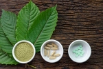 Pain Treating Herbal Supplement, kratom, this pain treating herbal supplement is not safe for use, Opioid