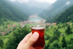 International Tea Day significance, International Tea Day updates, international tea day 2025 facts and significance, Lifestyle