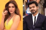 Kriti Sanon with Vijay, Vamshi Paidipally, kriti sanon to romance vijay in his next, 1 nenokkadine