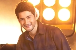 Mahesh Babu latest, Mahesh Babu new movie, mahesh babu getting bollywood beauty for his next, Sarileru neekevvaru
