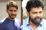 Mahesh Babu next, Mahesh Babu news, mahesh babu shelves sukumar s project, 1 nenokkadine