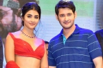 Pooja Hegde news, Pooja Hegde next film, mahesh babu all set to romance pooja hegde again, Maharshi