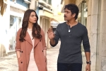 Manmadhudu 2 movie rating, Manmadhudu 2 movie review and rating, manmadhudu 2 movie review rating story cast and crew, Manmadhudu 2 Manmadhudu 2 movie rating, Manmadhudu 2 movie review and rating, manmadhudu 2 movie review rating story cast and crew, Manmadhudu 2