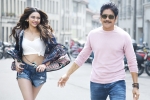 Manmadhudu 2 release date, Manmadhudu 2 release date, manmadhudu 2 trailer is packed with entertainment, Manmadhudu 2 Manmadhudu 2 release date, Manmadhudu 2 release date, manmadhudu 2 trailer is packed with entertainment, Manmadhudu 2