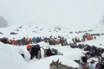 Mount Everest Snow storm breaking, Mount Everest Snowstorm new updates, more than 1000 stranded near mount everest because of snow storm, Videos