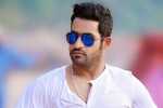 NTR exclusive, NTR new film, ntr s jai lava kusa updates, Nannaku prematho NTR exclusive, NTR new film, ntr s jai lava kusa updates, Nannaku prematho