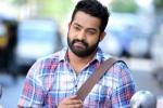 NTR new movie, NTR, official ntr s next film locked, Sardar gabbar singh