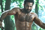 Ramaraju for Bheem video, Ramaraju for Bheem video, ramaraju for bheem ntr s deadly transformation as komaram bheem, Birth anniversary