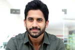 Naga Chaitanya films, Naga Chaitanya films, naga chaitanya coming up with a strong lineup of films, Soggade chinni nayana