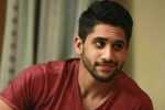 Naga Chaitanya new movie, Naga Chaitanya upcoming movie, naga chaitanya in talks for a web film, Web film