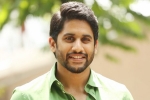 Naga Chaitanya next film, Naga Chaitanya updates, naga chaitanya signs his next, Yuddham