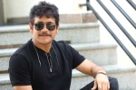 Akhil Akkineni, Nagarjuna Akhil movie, nagarjuna s 100th film locked, Bangarraju