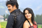 Nag's next, Nagarjuna new film, nag and anushka to team up, Om namo venkatesaya