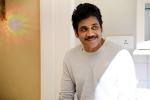 nagarjuna birthday, nagarjuna birthday wishes, nagarjuna turns 60 5 movies of forever young star you shouldn t miss, Manmadhudu 2 nagarjuna birthday, nagarjuna birthday wishes, nagarjuna turns 60 5 movies of forever young star you shouldn t miss, Manmadhudu 2