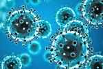 Coronavirus, Omicron Tollywood upcoming, omicron fear for tollywood, Coronavirus india