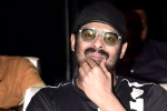 Prabhas and Maruthi Film launch, Prabhas and Maruthi Film release date, prabhas next film launched, A maruthi film