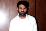 Prabhas and Maruthi film, People Media Factory, two beauties locked to romance prabhas, A maruthi film