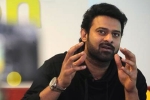 Prabhas, Prabhas upcoming films, two young beauties in talks for prabhas next, Pelli sandad