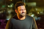 Prabhas movie updates, Salaar news, prabhas back to the sets of salaar, Indian actors