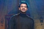 Prabhas breaking news, Prabhas recent pictures, prabhas struggling to cut down his weight, Dairy