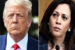Amy Tripp wealth, Kamala Harris, astrologer predictions about the new us president, Us democratic national convention